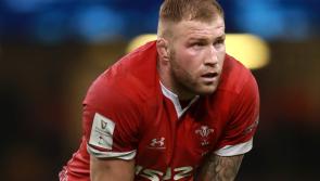 Wales&rsquo; Ross Moriarty set for chance to prove his fitness ahead of Six Nations