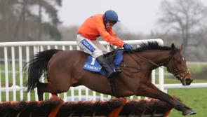 &lsquo;All roads&rsquo; lead to Cheltenham for Adagio after weekend return