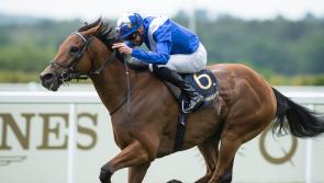 Lord North all set to headline top-class Winter Derby field