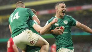 Johnny Sexton using absence from France clash as fuel to reach World Cup