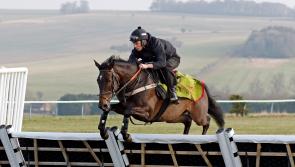All change for look of hurdles and fences after welfare study