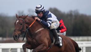 Coral Cup looks &lsquo;obvious&rsquo; race for Good Risk At All