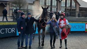 Nolan rules out Cheltenham for Sandor Clegane