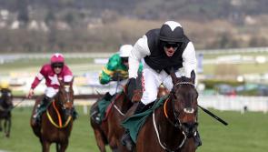 Flooring Porter and Vanillier spearhead Cromwell&rsquo;s Festival squad