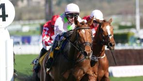 Vauban storms to classy success in Triumph Hurdle