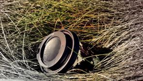 Limerick city jumps six places in league table following latest IBAL litter survey