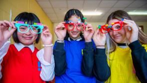 Creativity and critical thinking programme recruiting 800 mentors for Irish students