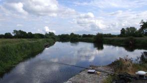 Invasive alien species in Irish waterways to be tackled in new campaign