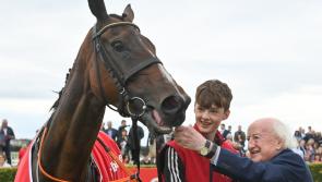Irish horse bought for &euro;850 wins American Grand National