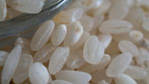 Rice products at popular Irish supermarkets recalled due to possible presence of INSECTS