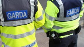 Garda&iacute; issue number of fines to vehicles parked illegally
