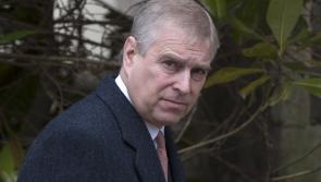 Prince Andrew and Virginia Giuffre reach 'settlement in principle' in civil sex claim