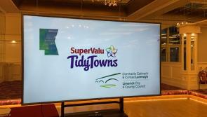 WATCH: First 'in-person' Tidy Towns event in Limerick for three years is a big success