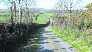 Green Fingers: Time is running out to tackle unruly hedges 