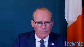 Ireland needs a &lsquo;fundamental rethink&rsquo; over security, says Coveney
