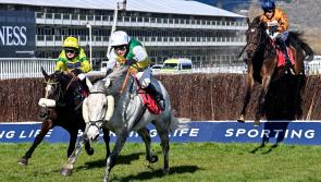 LIVE BLOG: Cheltenham 2022 DAY 4 results as they happen - Friday, March 18