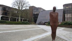 University of Limerick researchers helping gamers maximise their winnings 