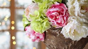 Time for another Limerick Leader poll!