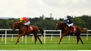 RACING: Top tips and analysis for Cork's card on Thursday