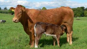 &euro;2 million funding for climate action 'will assist farmers and rural communities'