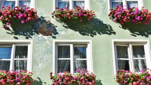 'Keep the country looking its best' - 2022 TidyTowns competition launched