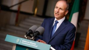 Taoiseach admits lessons must be learned from Dr Holohan appointment controversy