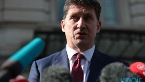 'It is not paused' - Eamon Ryan rejects T&aacute;naiste's statement that ban on sale of turf is paused 