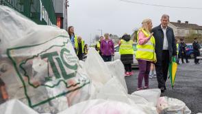 In Pictures: 30 of the best photos from Team Limerick Clean-Up 7