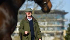 INTERVIEW: Willie Mullins is all about 'team' wins ahead of Punchestown 2022
