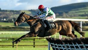 Punchestown Tips: All the best bets on Day 1 - Tuesday, April 26