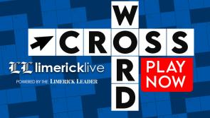 Limerick Live Interactive Crossword Puzzle