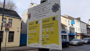 'Significant impact' of  Covid-19 on travel last year revealed