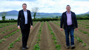 &euro;3m investment will restore Ireland's seed potato sector to its 'heyday' - McConalogue