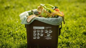 National Food Waste Recycling Week launched

