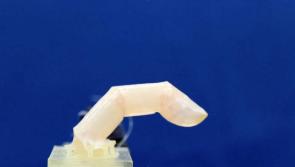 Scientists one step closer to developing humanoid robots