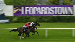 RACING: Your guide to Thursday&rsquo;s action at Leopardstown&nbsp;