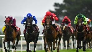 RACING: Galway Festival gets underway this evening