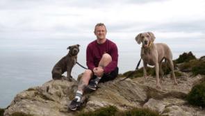 Employers should consider compassionate leave for bereaved pet owners, says Dogs Trust