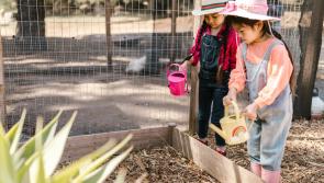 Green Fingers: Getting Limerick kids gardening during summer break