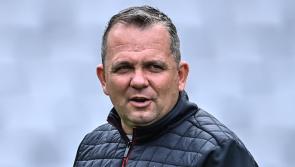 Davy Fitzgerald named as new Antrim senior hurling manager