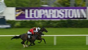 RACING: Your guide to Thursday&rsquo;s action at Leopardstown