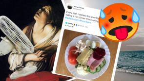 TWITTER REACTS: 15 tweets inspired by Costa del Ireland's scorcher heatwave