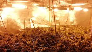 Man arrested after almost &euro;400,000 worth of drugs discovered by Garda&iacute;