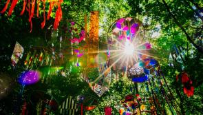 GUIDE: Stage times for Sunday's Electric Picnic Festival