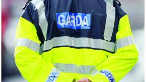 Man arrested after gardai seize large quantity of herbal cannabis 