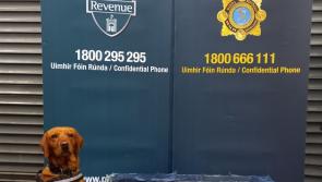 Sniffer dog helps gardai seize large quantity of cocaine