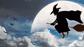 REVEALED: What Ireland is searching for this Halloween