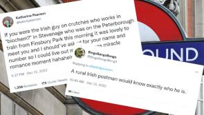 Twitter users react after woman's wish to find Irishman she met on a train goes viral