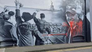 Joe Biden mural located in Ireland vandalised