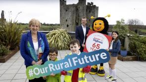 Is your town Ireland's tidiest? Tidy Towns competition returns for 65th year